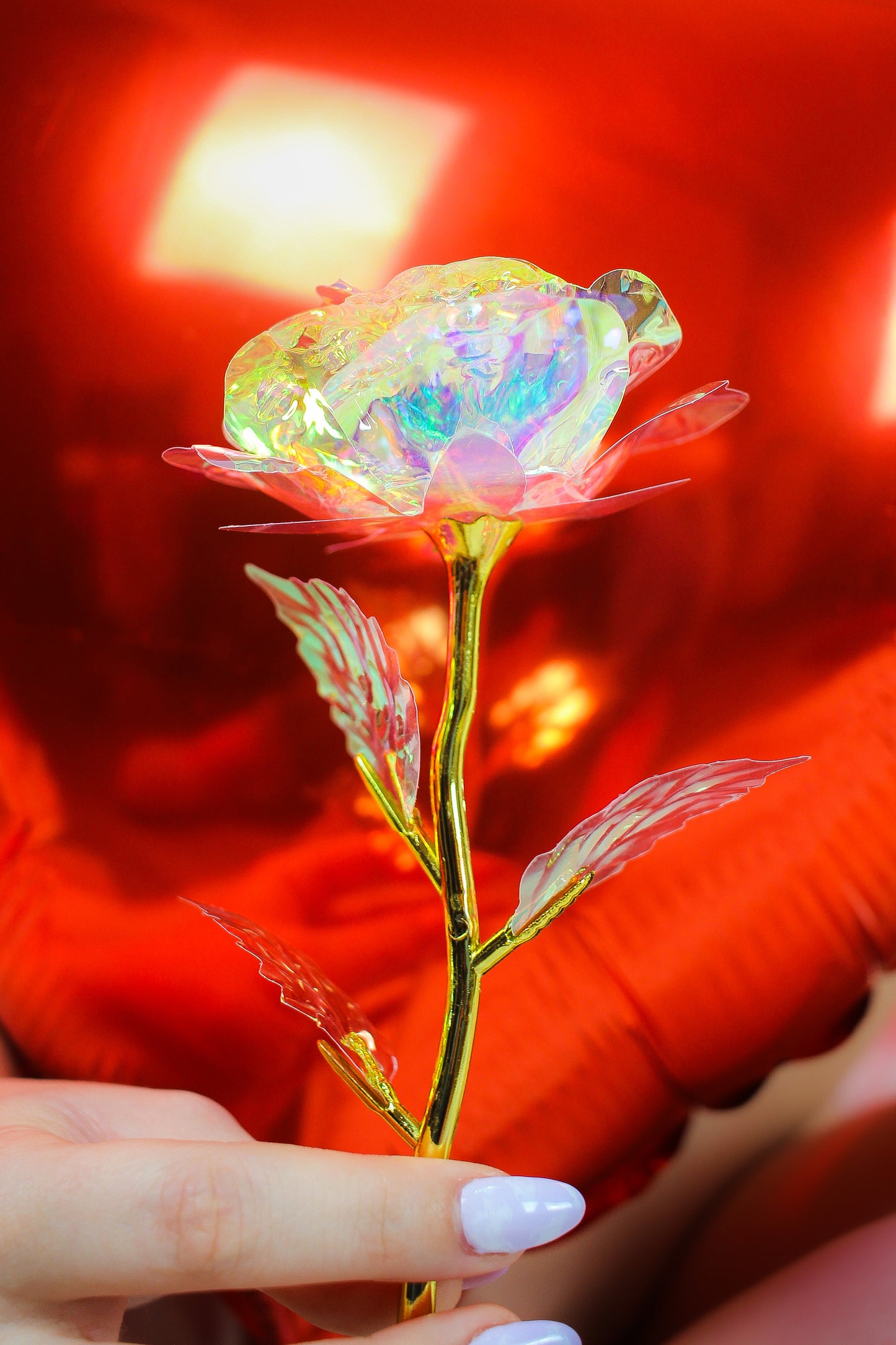 Holographic Eternal Rose